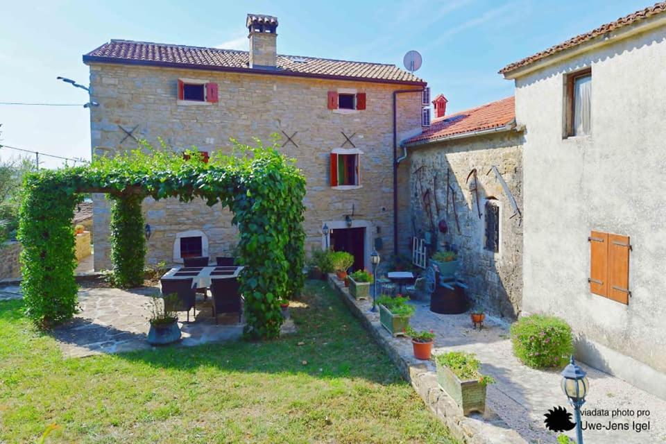 B&B al Merlo Olivo Buje Exterior foto