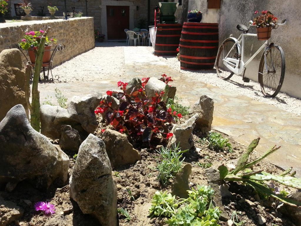 B&B al Merlo Olivo Buje Exterior foto