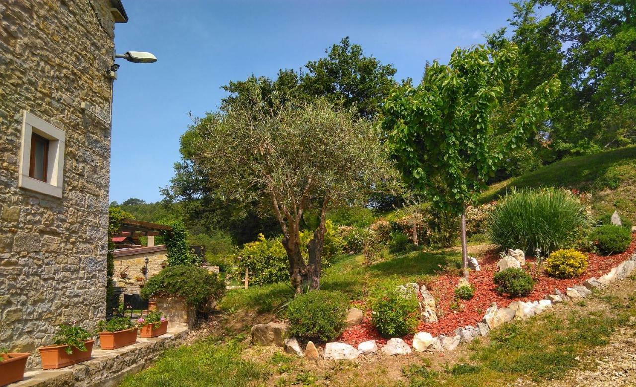 B&B al Merlo Olivo Buje Exterior foto