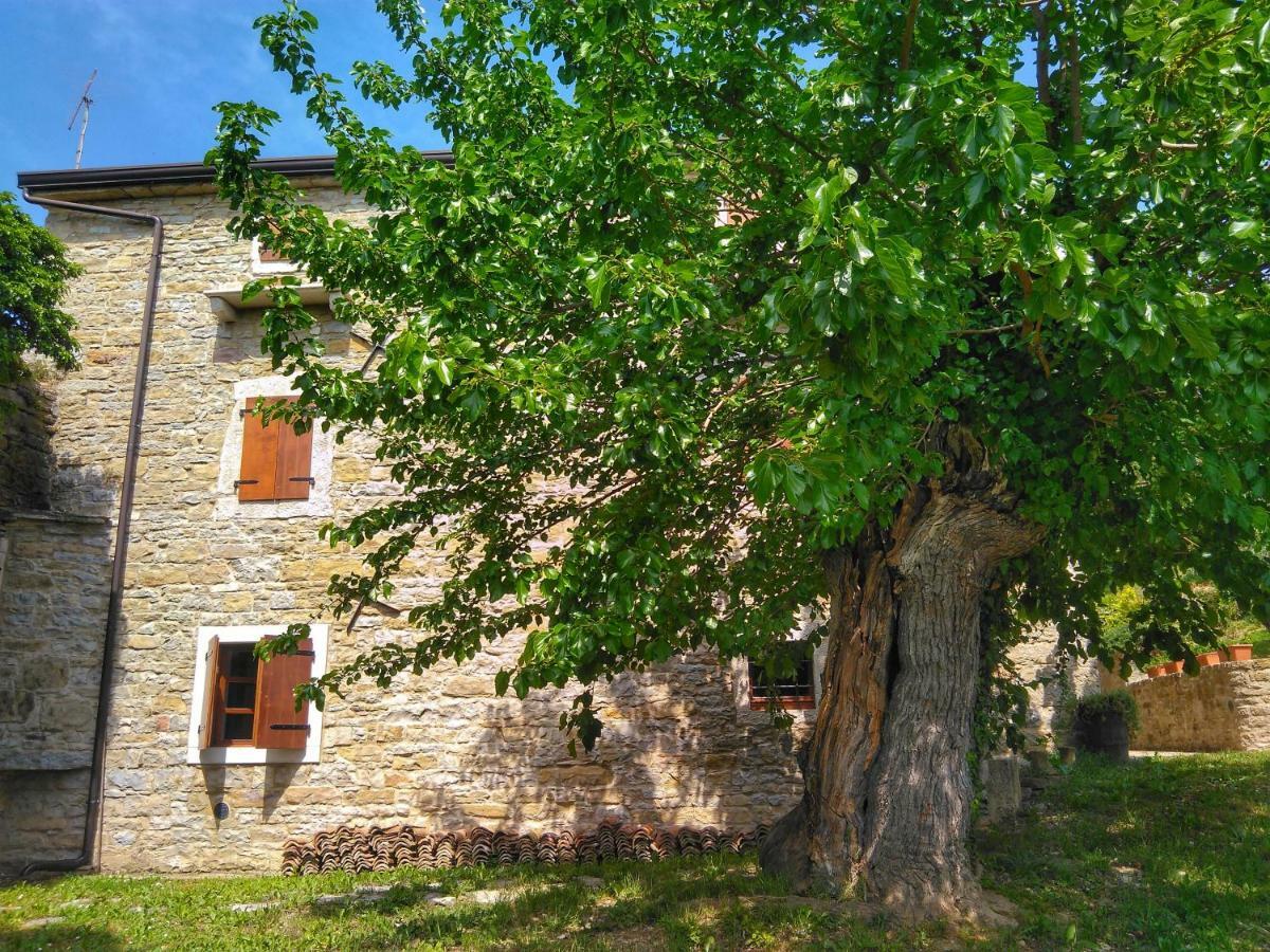 B&B al Merlo Olivo Buje Exterior foto